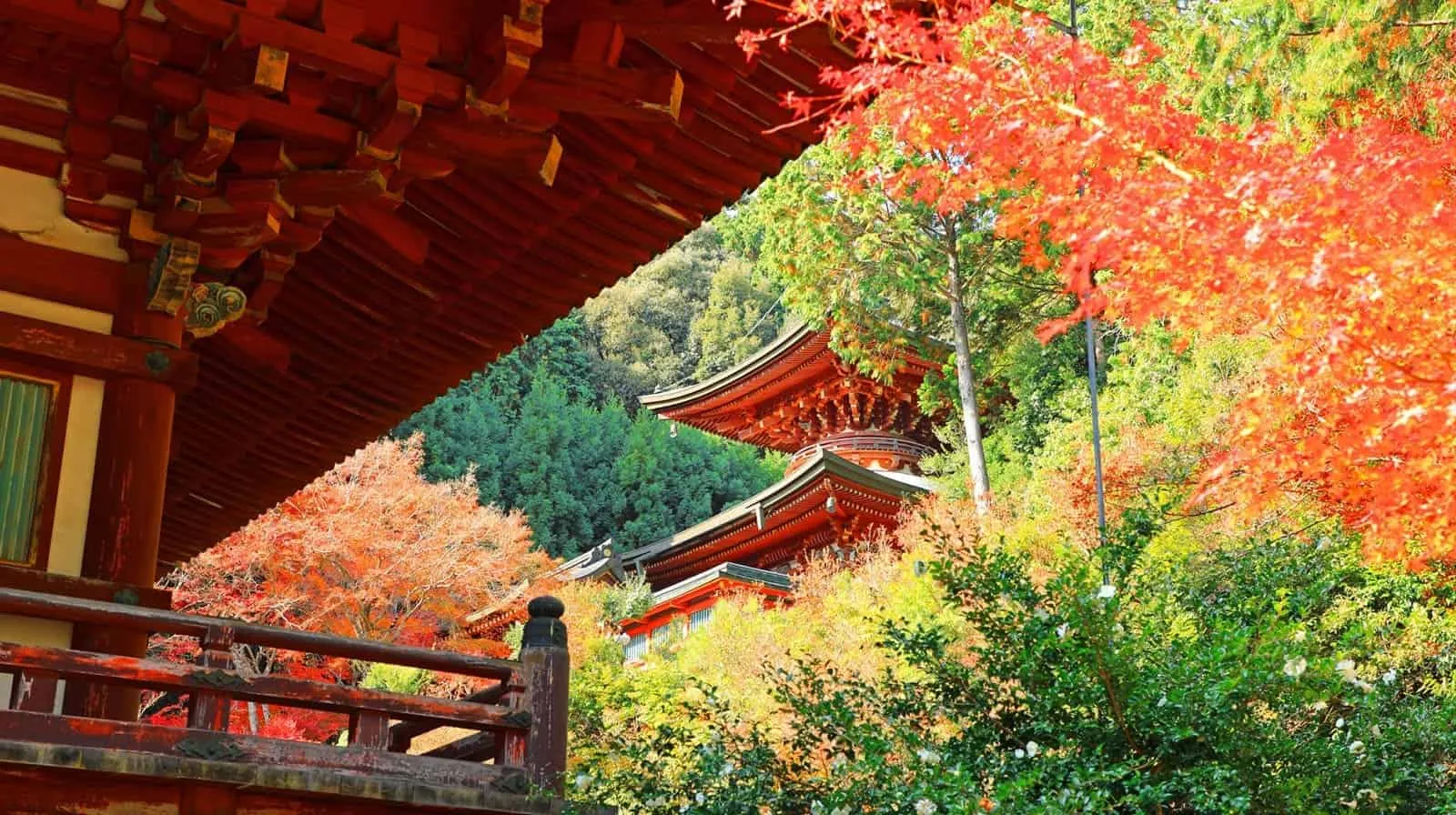 秋は、山一面の紅葉を背に京料理の錦水亭